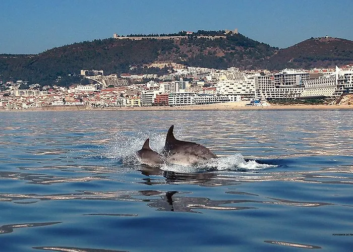 Lejlighed Atlantic Ocean View Sesimbra