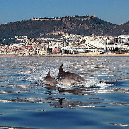 Apartment Atlantic Ocean View Sesimbra